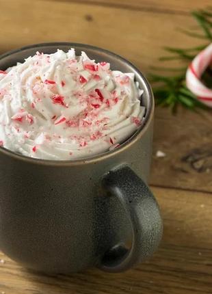 Аромат для свічки та мила м'ятний моко (candlescience peppermint mocha)