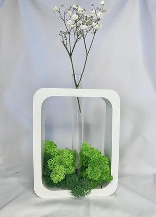 Декоративная ваза с стабилизированным мохом