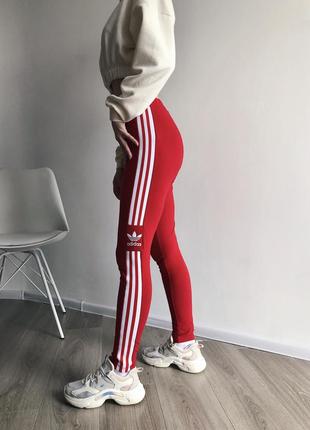 Лосины леггинсы adidas