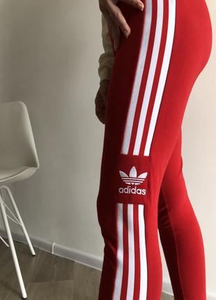 Лосины леггинсы adidas5 фото