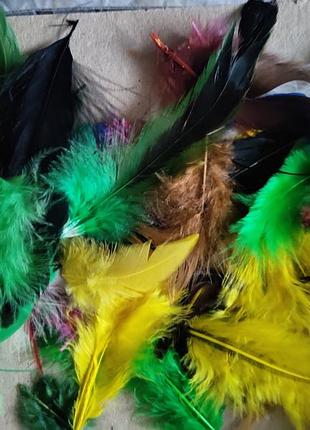 Пір'я кольорове мікс