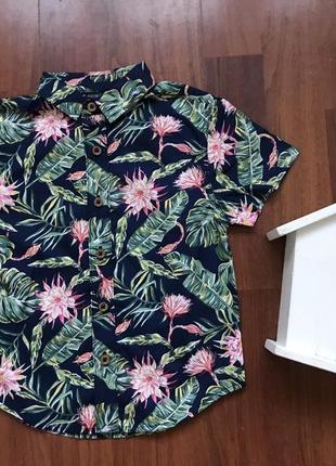 Тенниска рубашка