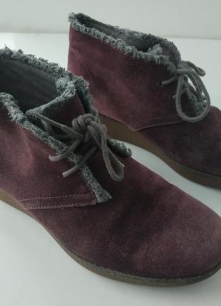 Черевики жіночі clarks розмір 37,5