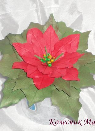 Різдвяна квітка пуансеттія (основа на вибір)2 фото