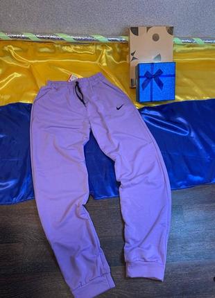 Спортивные штаны nike женские (люкс качества)