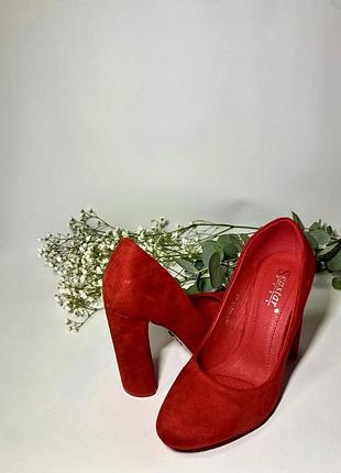 Замшевые туфли seastar2 фото