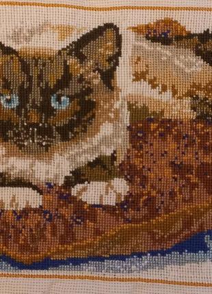 Вышивка сиамский кот2 фото