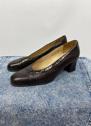 Жіночі туфлі salamander