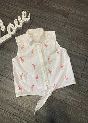 Блесна блуза рубашка из фламинго2 фото