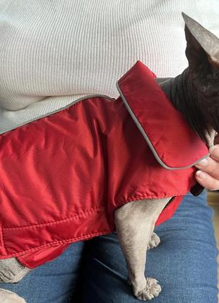 Плашок, красная курточка на собаку мелкой породы или кота