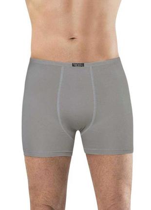 Мужские трусы - шорты anit bamboo 1273 xl grey