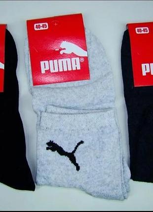 Шкарпетки чоловічі puma