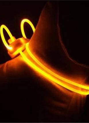 Світний світлодіодний led нашийник.