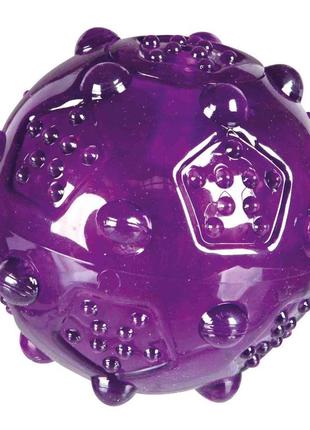 Игрушка для собак trixie мяч игольчатый с пищалкой 8см2 фото