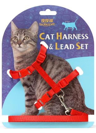 Шлея с поводком для кошек taotaopets 176602 red 2шт
