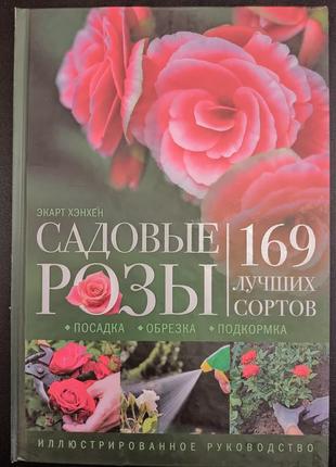 Садовые розы