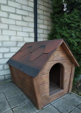 Буда собача