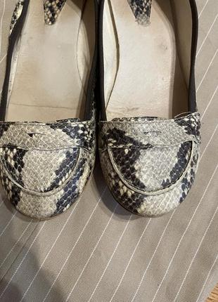 Балетки зміїного принту