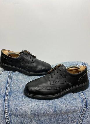 Чоловічі черевики, броги cofra1 фото