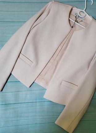 Піджак mango пудра s, 36 розмір