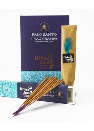 Аромапалочки пыльцевые пало санто и наг чампа palo santo nag champa (divine) 15 грамм