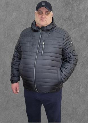 Мужская куртка большого размера vavalon kd-21163 фото