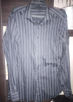 Мужская рубашка poggino