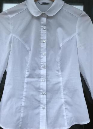 Белая рубашка, біла рубашка4 фото