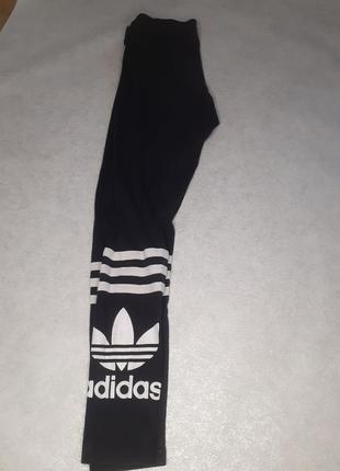 Лосины adidas1 фото