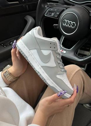 Nike sb dunk low retro silver