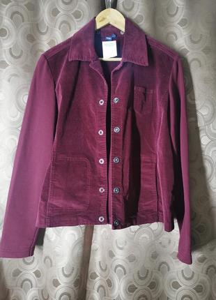 Куртка пиджак  s/m микровельвет текстиль