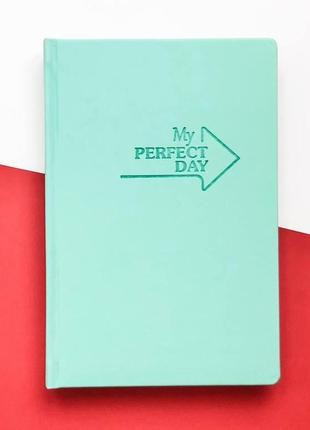 Планер мотивувальний щоденник my perfect day lifeflux а5 м'ятний російська мова