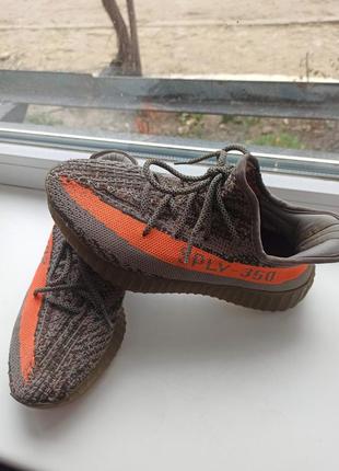 Кроссовки adidas yeezy boost 3502 фото