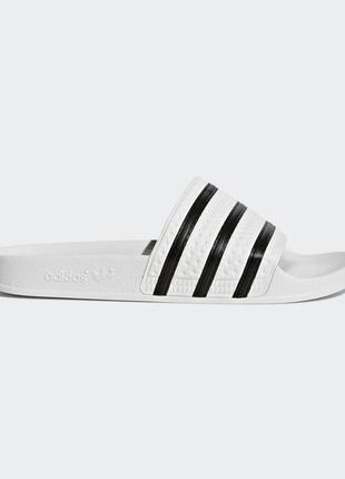 Шльопанці adidas adilette