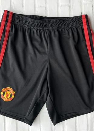 Спортивные шорты adidas - manchester united - возраст 5 - 64 фото