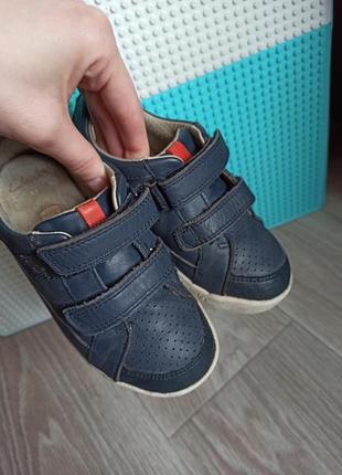 Кожаные кроссовки clarks, кроссовки кожаные