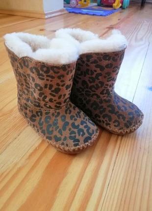 Чобітки ugg