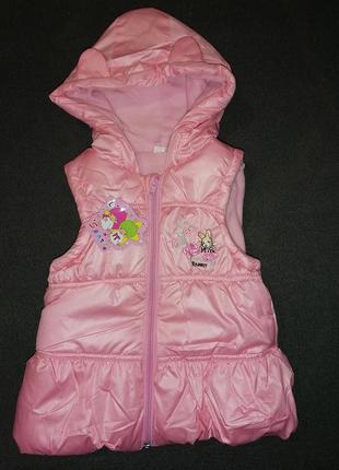 Жилетка (безрукавка) на  флісі