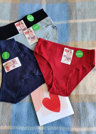 Труси рубчик хлопок бавовна трусики сліпи класичні s m l xl xxl