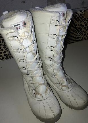 Зимние сапоги от бренда roots