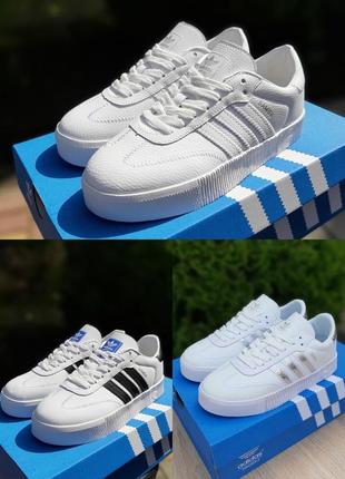 Жіночі шкіряні кросівки adidas samba