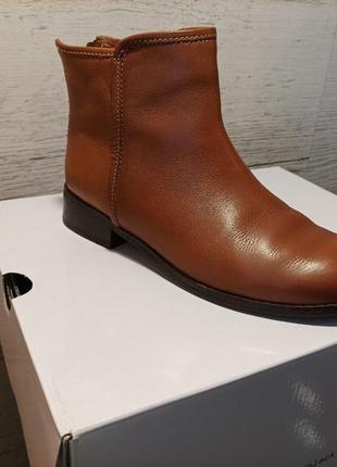 Ботильони trotters