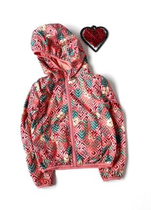 Вітровка st. bernard 7 років