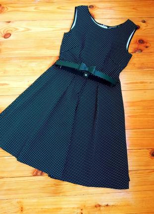 Бавовняне плаття сукня в горох / сукня luisa cerano1 фото