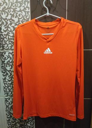 Мужская кофта,футболка,термобелье мужское adidas team base tee