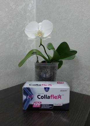 Collaflex. коллаген 2 типа. коллаген и типа