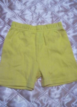 Шортики нові george на 0-3 міс, будуть довше