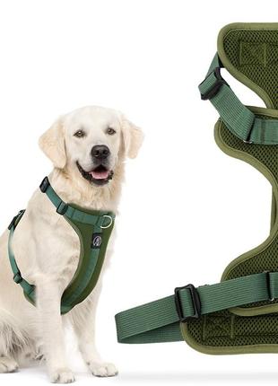 Шлейка для собак