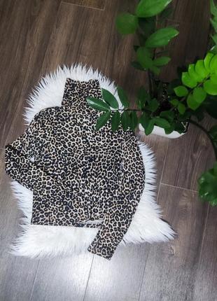 Гольф/водолазка