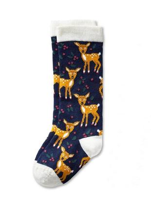 Гольфи з натуральним бавовною тсм tchibo німеччина, розмір 27-30